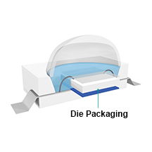 1452666854206782.jpg 1.jpg