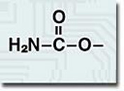 1452753116247571.jpg 4.jpg